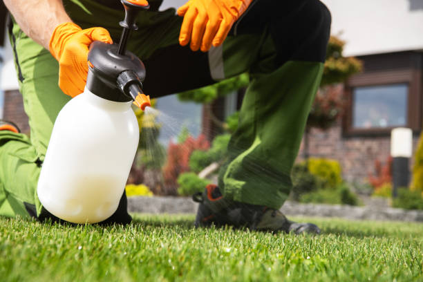 Pest Prevention Services in Eden, TX